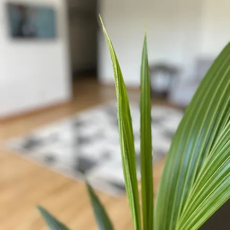 Sloneczny Lokietka Sopot